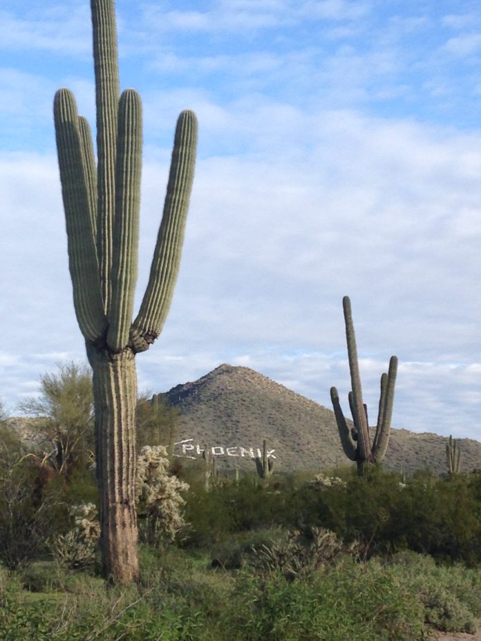 The Phoenix sign as seen from Usery Mountain in Mesa, Ariz.