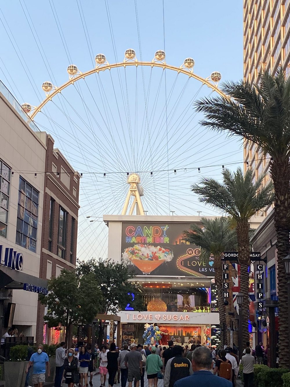 Tiny Tortoise Spins Las Vegas DMA LPTV Property | Radio & Television Business Report - Vimarsana News